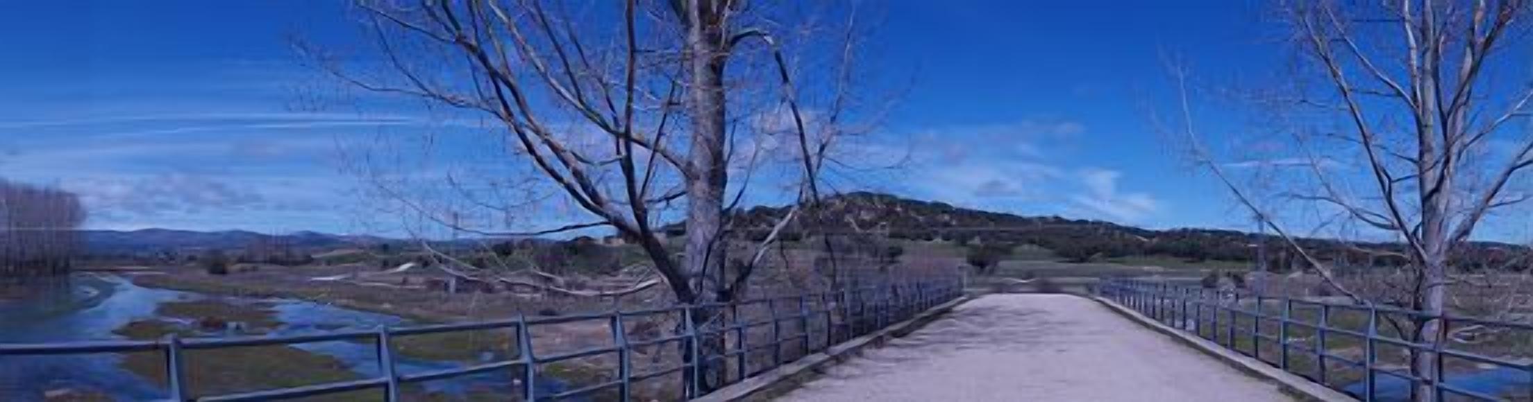 Un vialetto lastricato con ringhiere metalliche, affiancato da alberi spogli, che si inoltra attraverso un paesaggio rurale con colline sullo sfondo.
