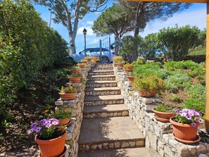 Property grounds - Island D Elba Capo D Arco: Villa on the promontory among flowers and scents (Isola D Elba Capo D Arco)