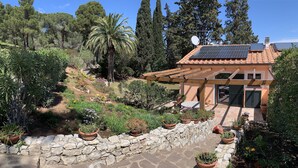 Una casa con un muro in pietra e piante in vaso, un patio con pavimento in pietra e un giardino con diverse piante e alberi.