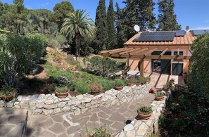Terrace/patio - Island D Elba Capo D Arco: Villa on the promontory among flowers and scents (Isola D Elba Capo D Arco)