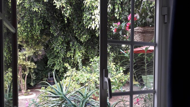 Blick durch ein Fenster auf einen üppigen Garten mit verschiedenen Pflanzen und einem Korbwägelchen.