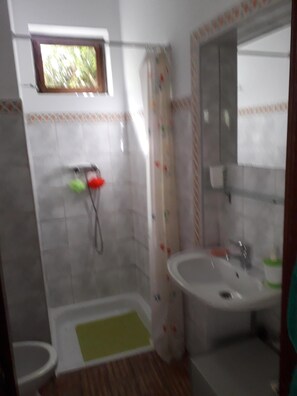 Shower, hair dryer, bidet, towels