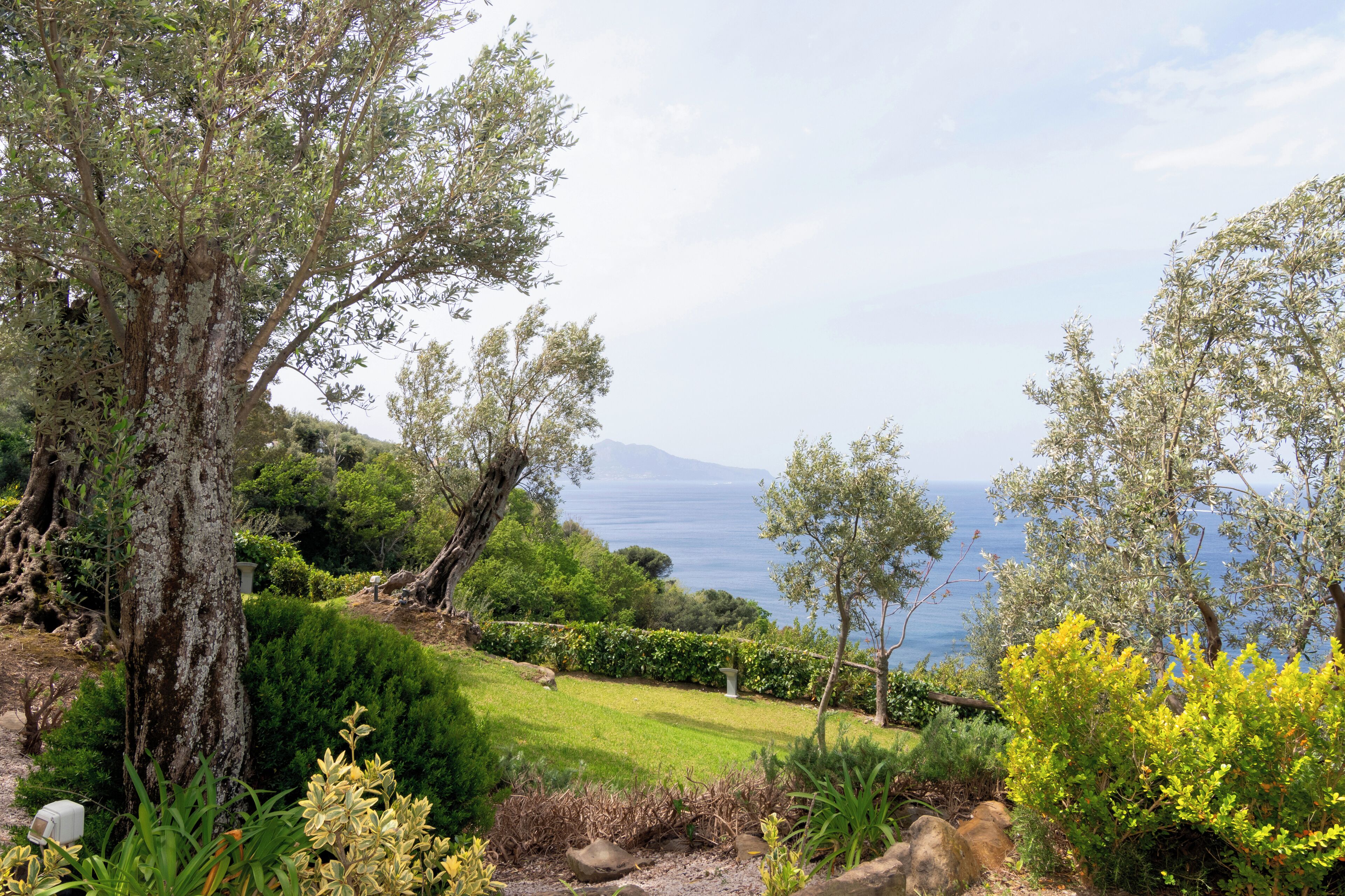 Ein üppiger Garten mit verschiedenen Bäumen und Sträuchern, einem gepflegten Rasen und Blick auf das Meer im Hintergrund.