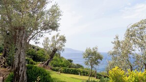 A lush garden with a variety of trees and shrubs, a well-maintained lawn, and a view of the sea in the background. - Overview exclusive seaside villa in Sorrento Peninsula (Massa Lubrense Sorrento)
