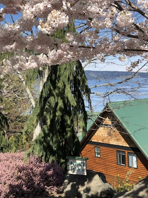 Overnatningsstedets område