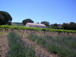 Property grounds - Character house with swimming pool in the Drôme with two bathrooms. (Rochegude)