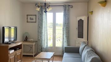 Télévision, cheminée, lecteur de DVD, livres