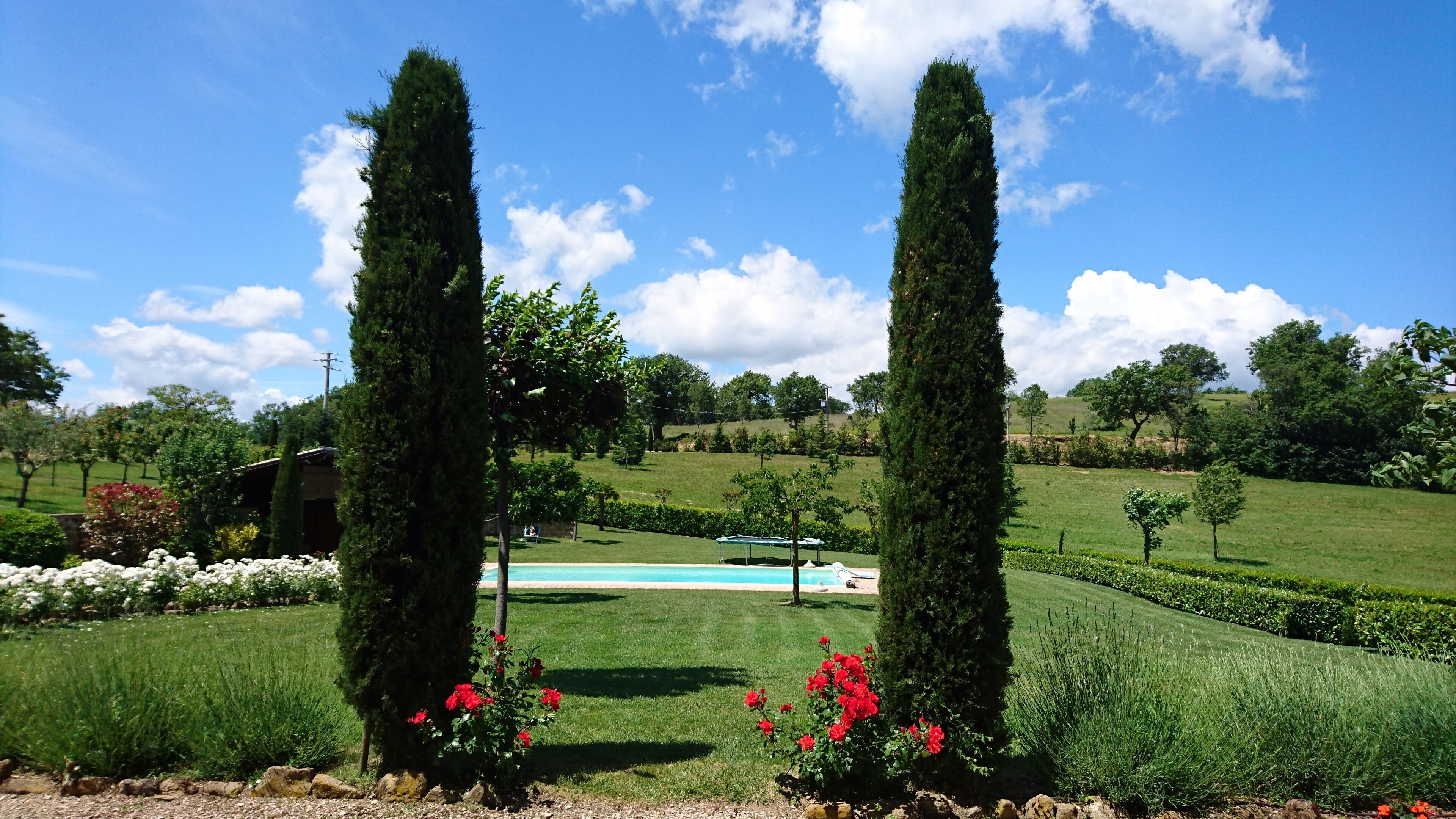 La Dolce Vita - stunning villa, beautiful surroundings, perfect flexication