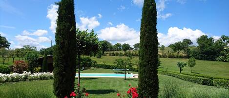 A landscaped garden with a swimming pool, neatly trimmed hedges, and tall trees.