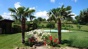 Un jardín bien cuidado con palmeras, una piscina y un edificio rústico.