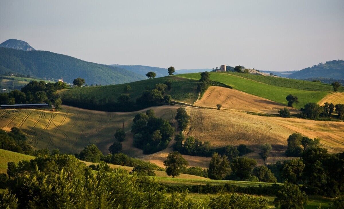 La Dolce Vita - stunning villa, beautiful surroundings, perfect flexication