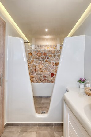 Regadera, amenidades de baño ecológicas, secadora de cabello, toallas 