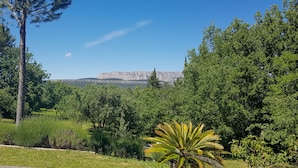 Paesaggio naturale con una montagna sullo sfondo, circondato da vegetazione lussureggiante e alberi.