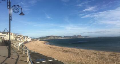 BUTTERCUP COTTAGE in beautiful Devon countryside.