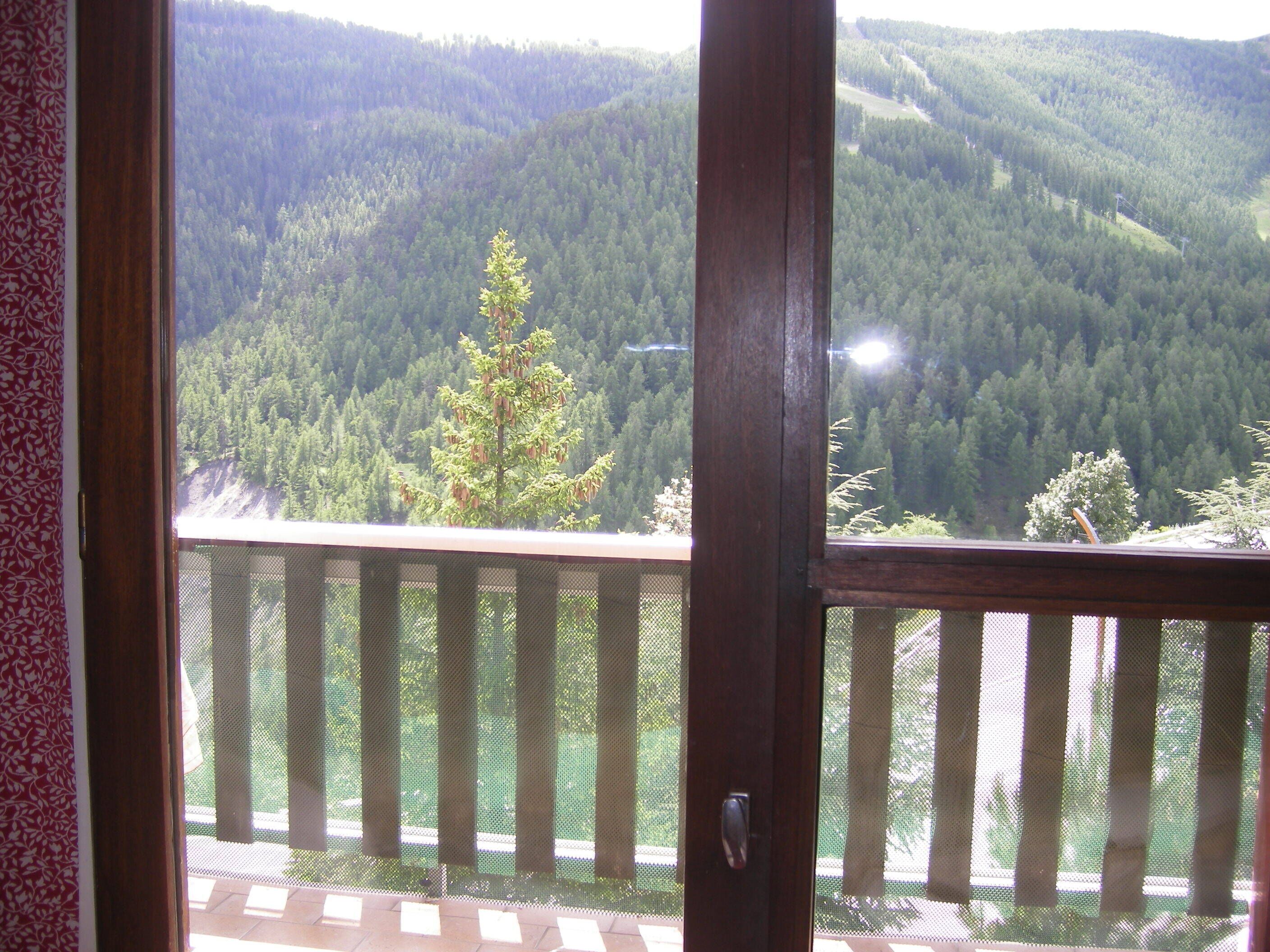 Vue sur la montagne du living;
