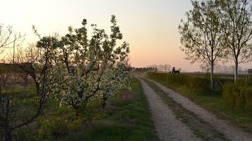 Enceinte de lâhĂ©bergement