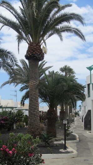 Jardines del alojamiento
