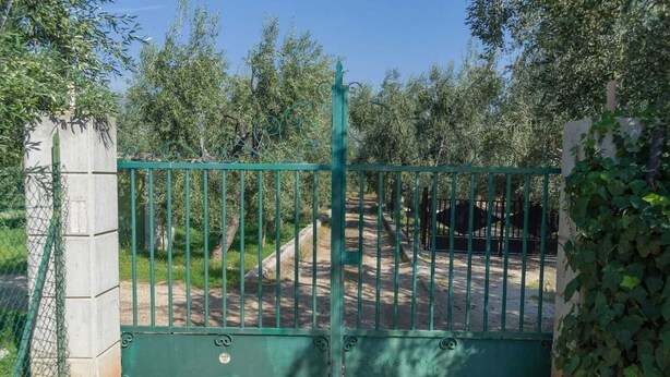 A green metal gate with a decorative top, leading to a pathway surrounded by greenery and trees.