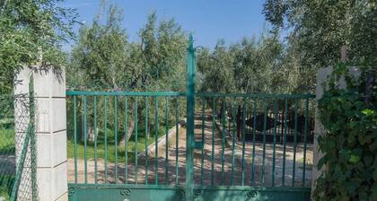 Einzelne Villa mit großer überdachter Veranda im Freien, umgeben von einem wunderschönen Zitronenhain
