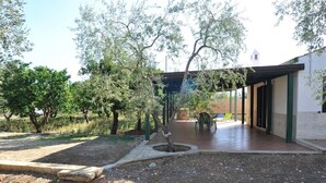 A covered outdoor area with a patio, trees, and a building in the background.