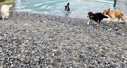 Large apartment with private garden, next to the lake. Dog welcome
