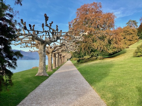 Property grounds. Large apartment with private garden, next to the lake. Dog welcome