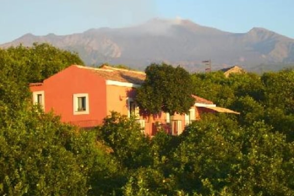 Overview