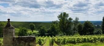 La Ligassonne, Grande Maison, Calme, 25 km from Bordeaux