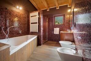 Bathtub, jetted bath, hair dryer, bidet - BEAUTIFUL VILLA WITH ALL THE COMFORTS  (malcesine)