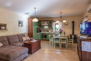 Smart TV, fireplace, DVD player, books