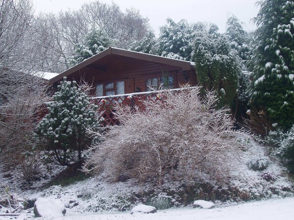 Exterior - TWINPINES, LLWYNAU FARM, LLANTRISANT - 12 MILES FROM CARDIFF. CF72 8LP. RCT. (Pontyclun)