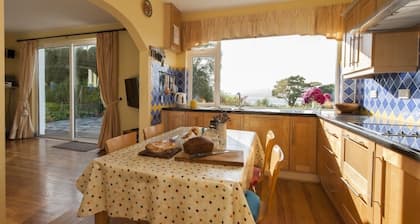 Award winning Property on a Hill overlooking the sea in West Cork.
