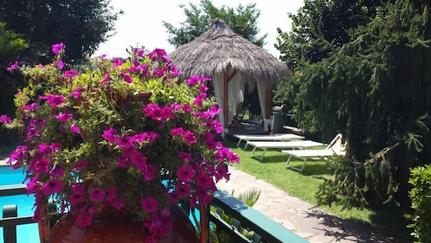 A garden with a pool, a gazebo, and lounge chairs.
