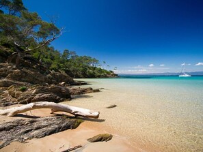 A beach with clear turquoise water, a sailboat in the distance, and a large fallen tree trunk on the sand.