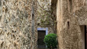 A narrow cobblestone alley flanked by stone buildings with a small tree and a street lamp. - New villa with swimming pool in the Costa Brava. Now with WiFi! (Mas Ambros, Calonge)