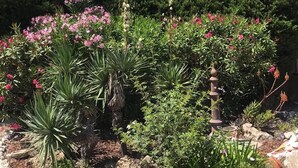 A garden with various plants, a stone pathway, and a decorative column. - Villa with SEA VIEW, 1 km from the BEACH and CITY CENTER, BBQ, TENNIS (Fréjus)