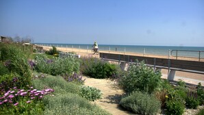 Un camí cap a una platja amb un ciclista, envoltat de verdor abundant i flors morades.