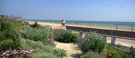 ビーチの近く、サンラウンジャー