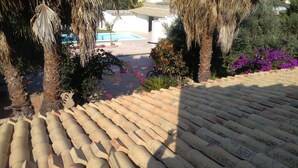 A rooftop terrace with a pool, surrounded by palm trees and purple flowers. - Wunderbar, Wonderful villa with pool heated (Caucana-finaiti-casuzze-finaiti Nord)