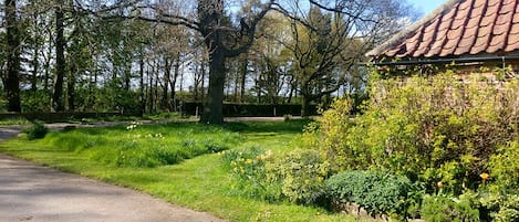 Boendeområde