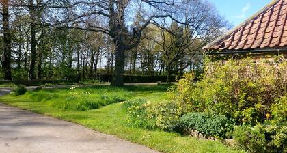 A pretty detached bungalow with climbing roses central for north yorkshire
