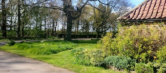 A pretty detached bungalow with climbing roses central for north yorkshire