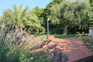 Property grounds - Refined modern architectural design villa in typical Apulian landscape. (Polignano a Mare)