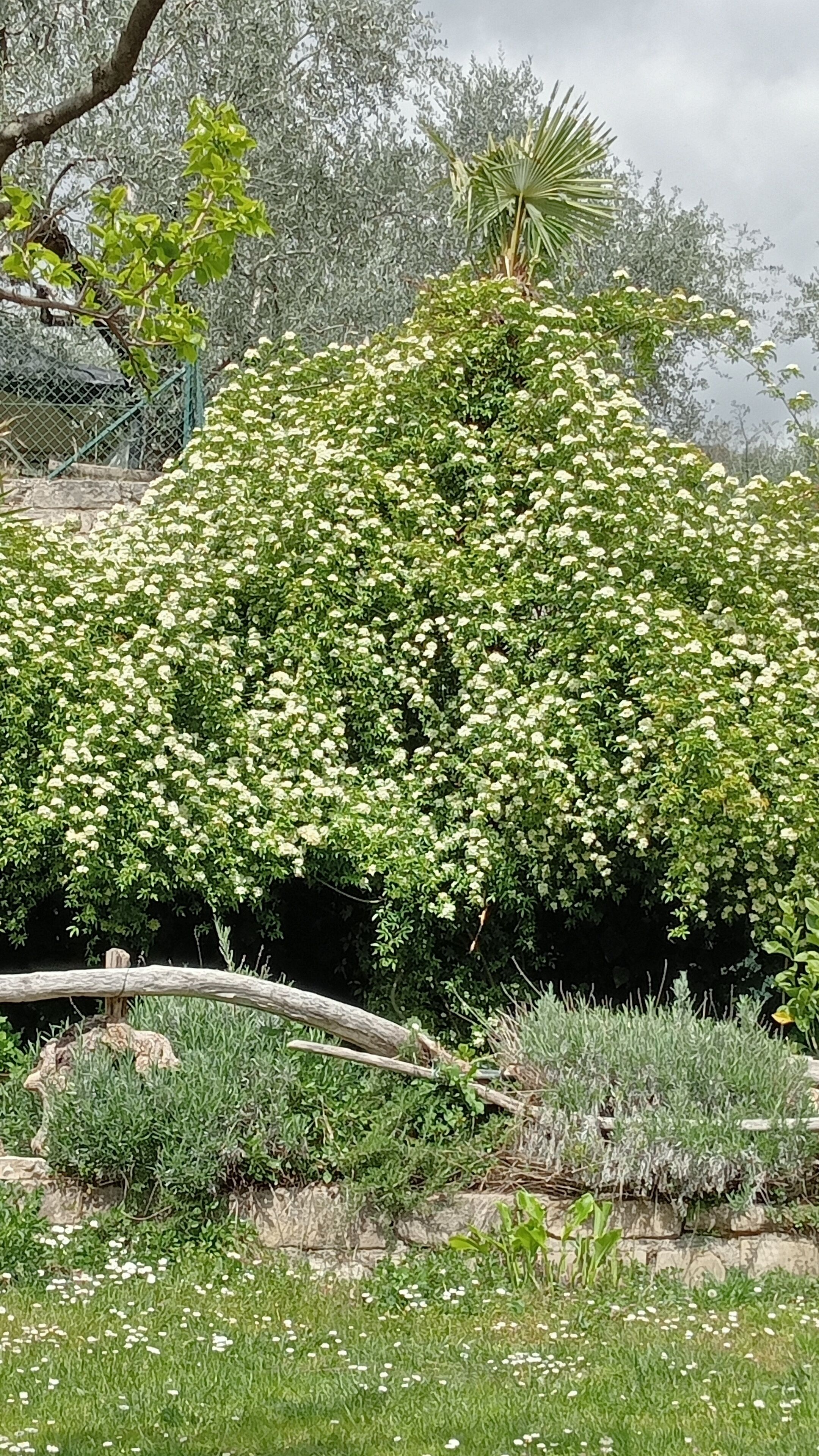 Il Giardino Segreto - Holiday home where you can spend pleasant moments.