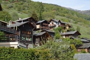Ulkopuoli