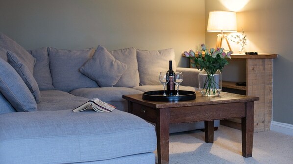 Smart TV, fireplace, DVD player, books