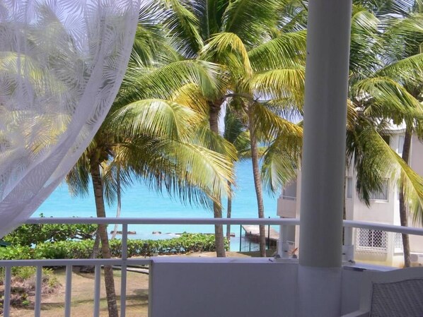 Property grounds - Studio - Le gosier (LE GOSIER)