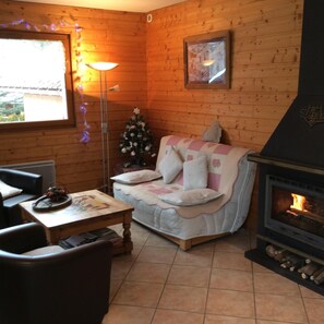 TV, fireplace, DVD player, books
