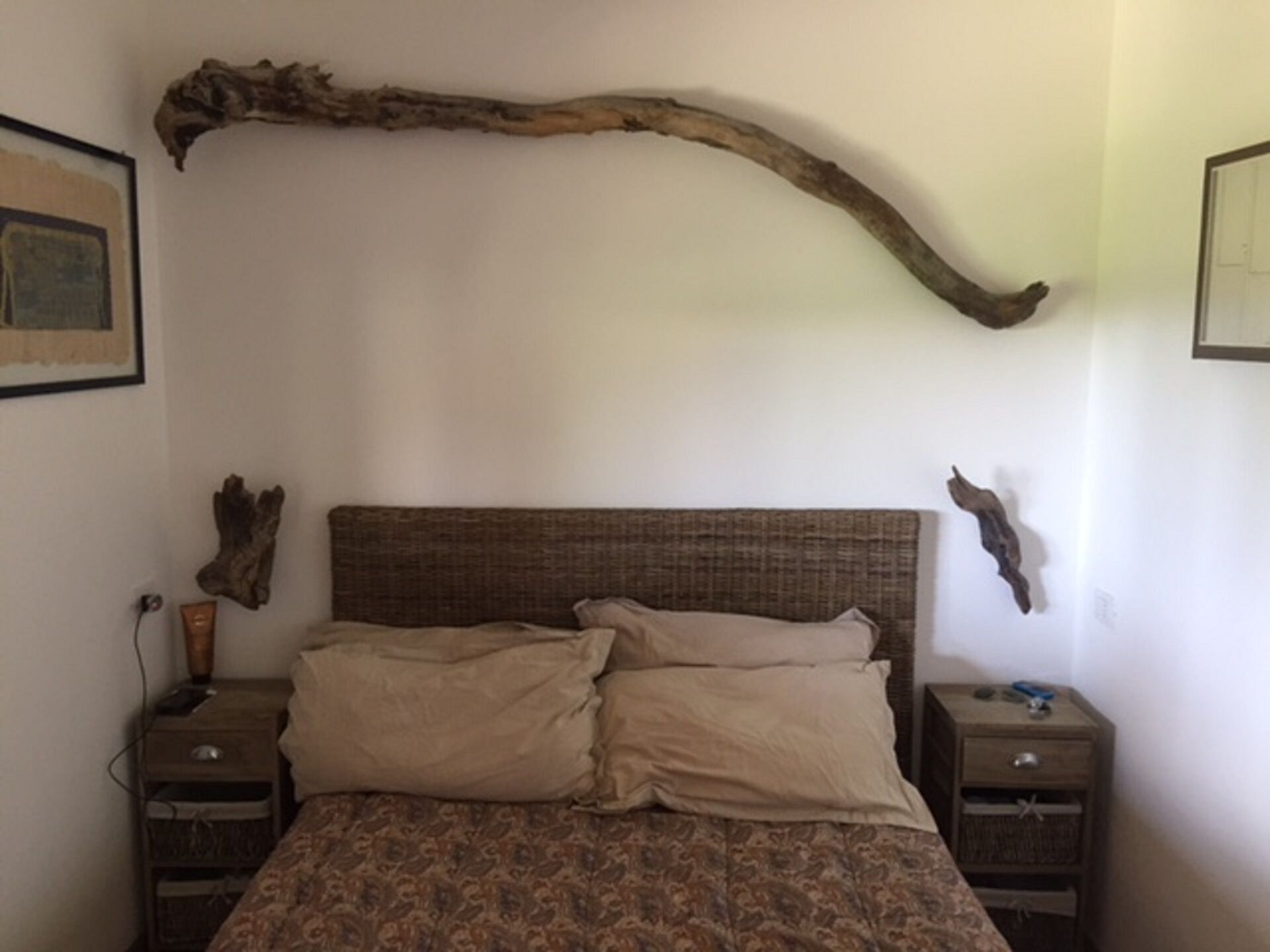 Not to go away anymore - near Capalbio