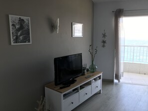 Älytelevisio, DVD-soitin